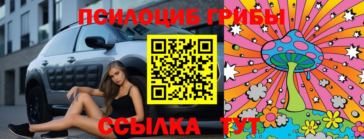 Псилоцибиновые грибы Magic Shrooms Черногорск